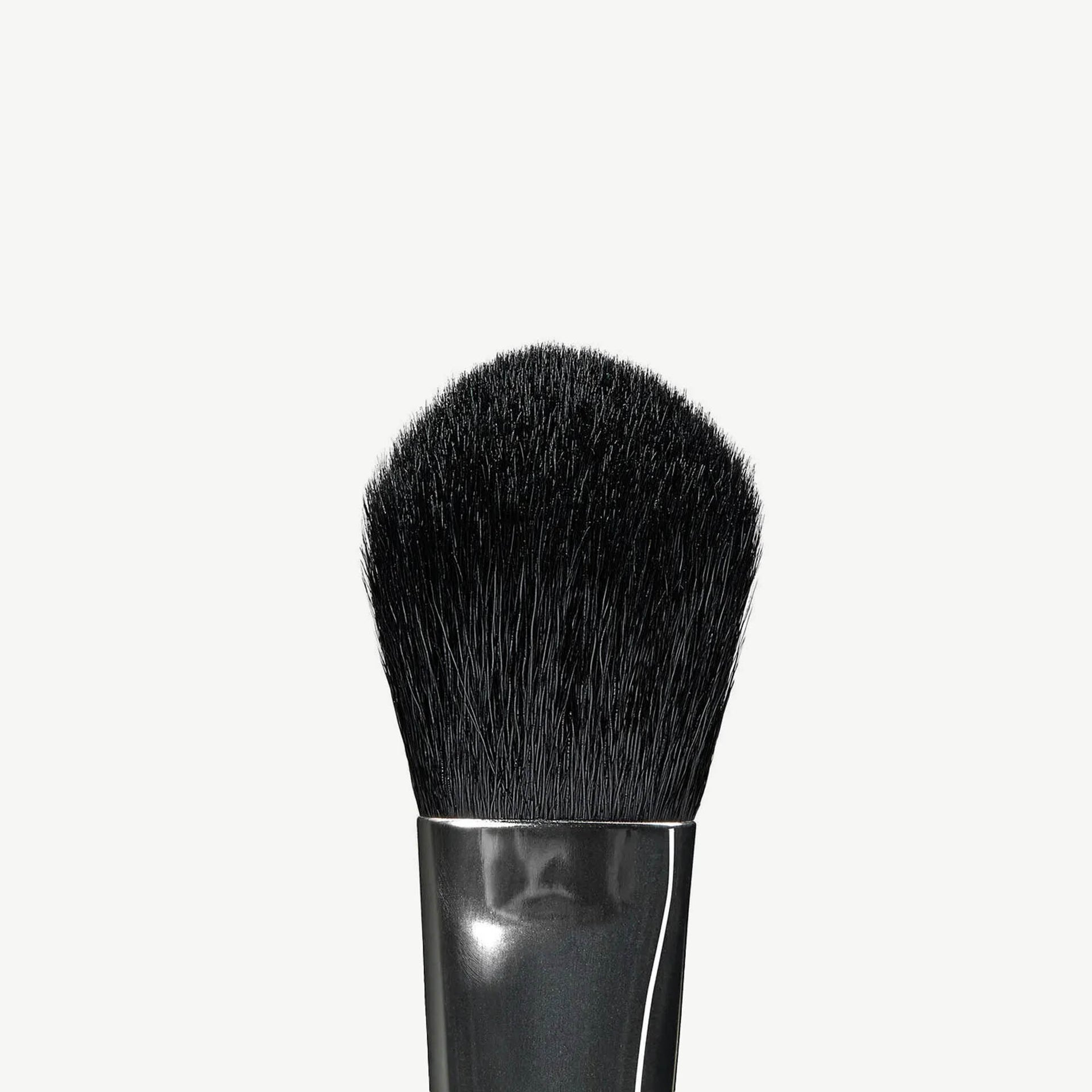 A22 Pro Brush - Pointed Cheek Brush - Macro Image Application Tip