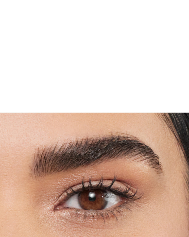 Anastasia's Tips: For Unruly Brows | Anastasia Beverly Hills