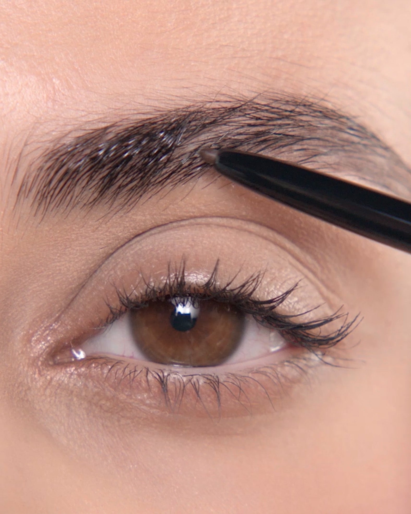 Applying Brow Wiz® in Ebony