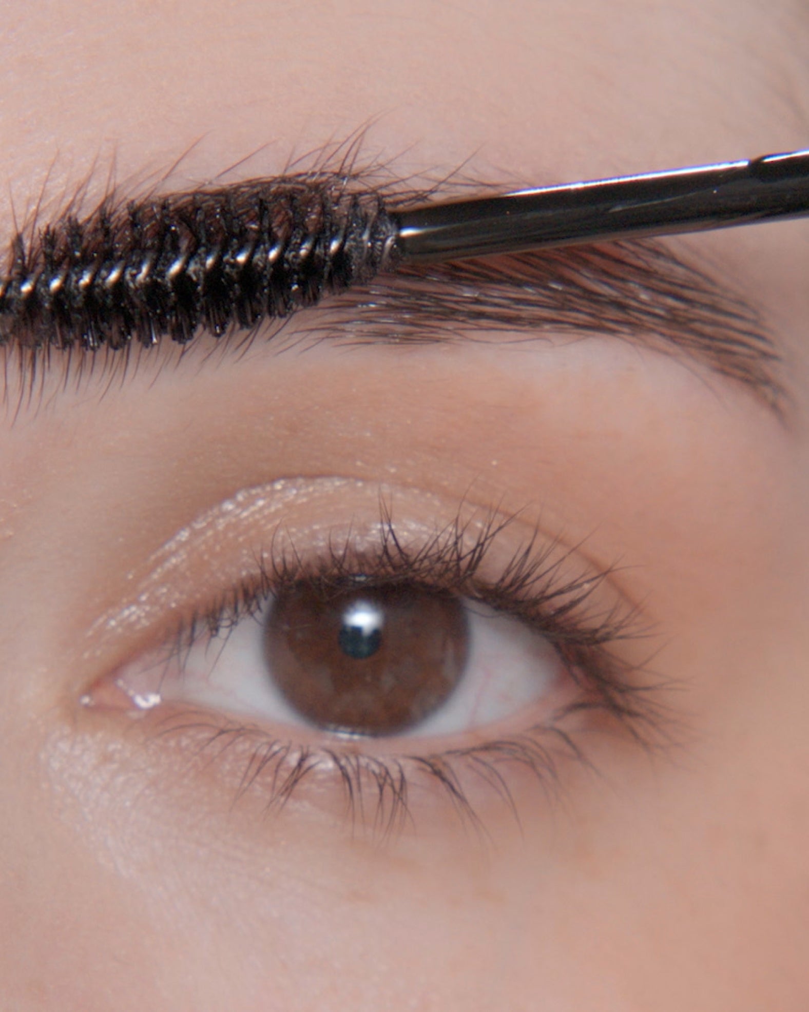 Applying Clear Brow Gel