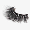 False Lashes - Lengthy